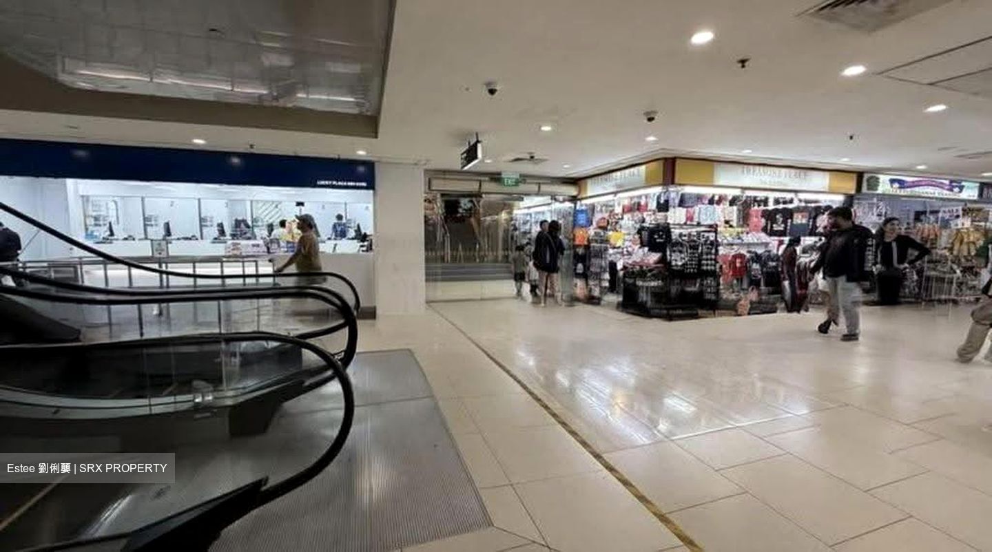 Lucky Plaza (D9), Shop House #632849801